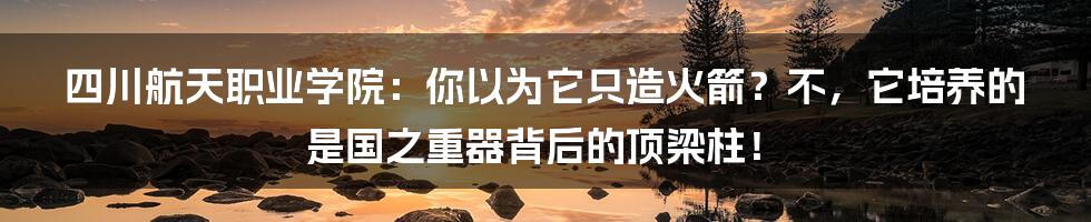 四川航天职业学院:你以为它只造火箭?不,它培养的是国之重器背后的顶梁柱!