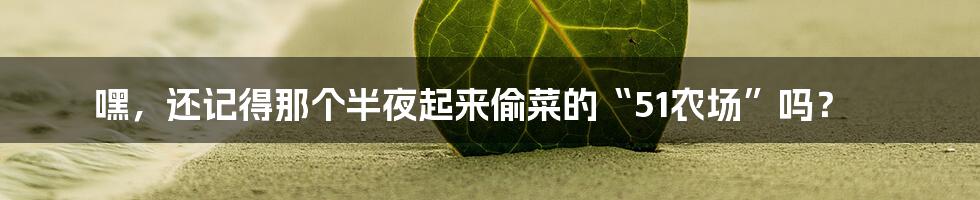 嘿，还记得那个半夜起来偷菜的“51农场”吗？