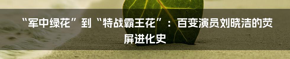 “军中绿花”到“特战霸王花”:百变演员刘晓洁的荧屏进化史