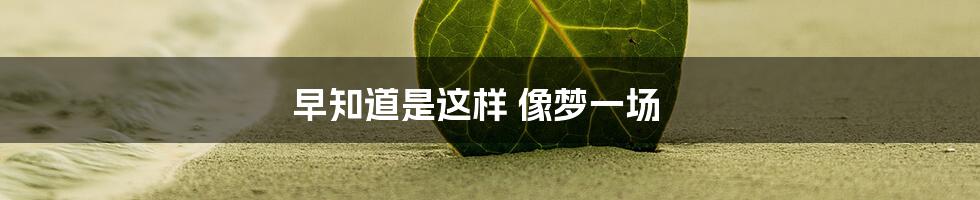 早知道是这样 像梦一场
