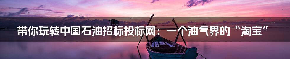 带你玩转中国石油招标投标网:一个油气界的“淘宝”