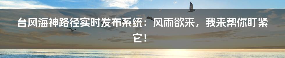 台风海神路径实时发布系统:风雨欲来,我来帮你盯紧它!