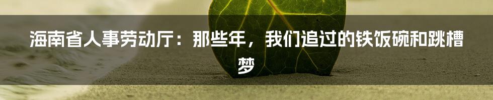 海南省人事劳动厅:那些年,我们追过的铁饭碗和跳槽梦