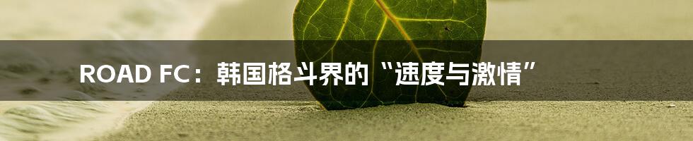 ROAD FC:韩国格斗界的“速度与激情”