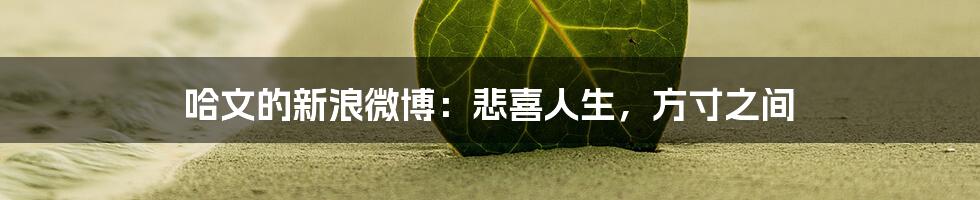 哈文的新浪微博:悲喜人生,方寸之间
