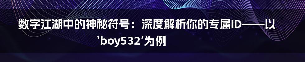数字江湖中的神秘符号:深度解析你的专属ID——以‘boy532’为例