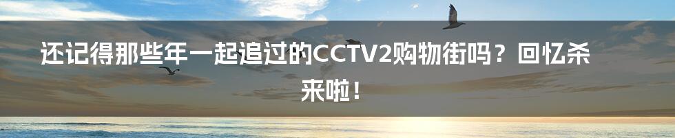 还记得那些年一起追过的CCTV2购物街吗?回忆杀来啦!