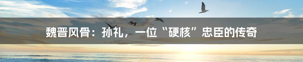 魏晋风骨:孙礼,一位“硬核”忠臣的传奇