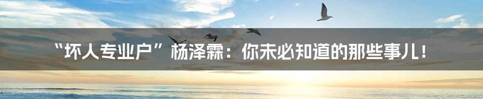 “坏人专业户”杨泽霖:你未必知道的那些事儿!