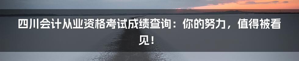 四川会计从业资格考试成绩查询：你的努力，值得被看见！