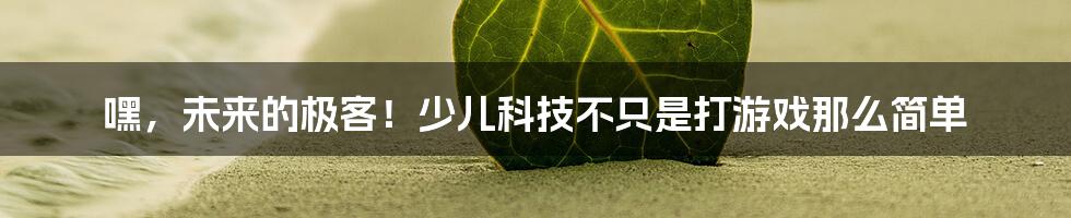 嘿，未来的极客！少儿科技不只是打游戏那么简单