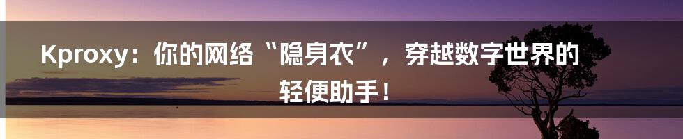 Kproxy:你的网络“隐身衣”,穿越数字世界的轻便助手!