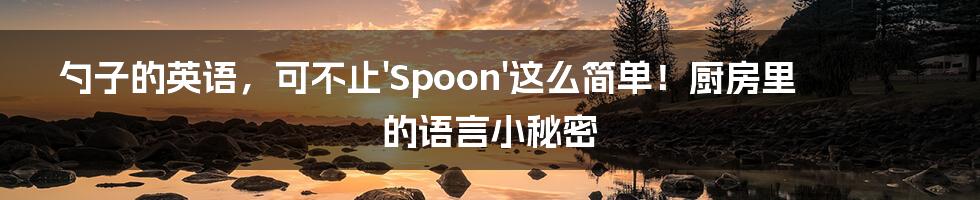 勺子的英语，可不止'Spoon'这么简单！厨房里的语言小秘密