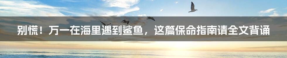 别慌!万一在海里遇到鲨鱼,这篇保命指南请全文背诵