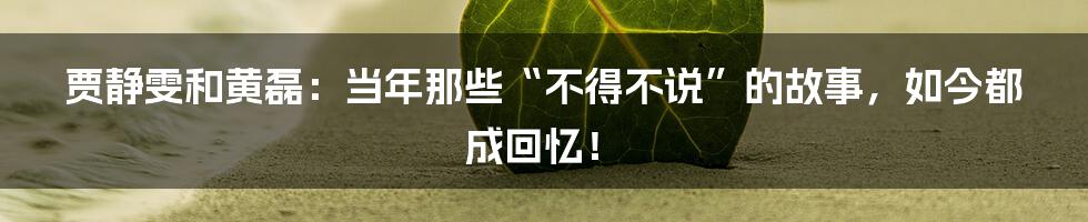 贾静雯和黄磊:当年那些“不得不说”的故事,如今都成回忆!