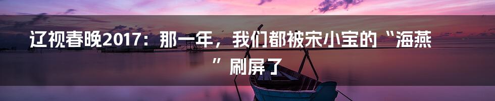 辽视春晚2017:那一年,我们都被宋小宝的“海燕”刷屏了