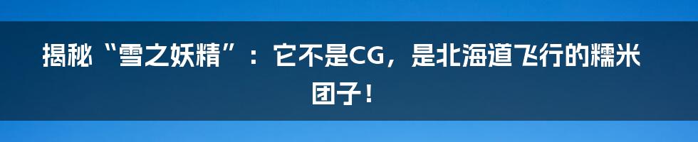 揭秘“雪之妖精”:它不是CG,是北海道飞行的糯米团子!
