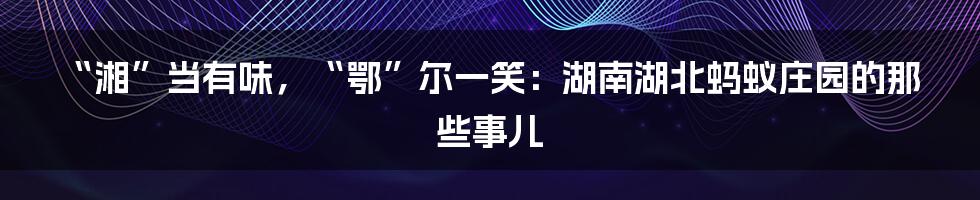 “湘”当有味，“鄂”尔一笑：湖南湖北蚂蚁庄园的那些事儿