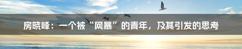 房晓峰:一个被“网暴”的青年,及其引发的思考