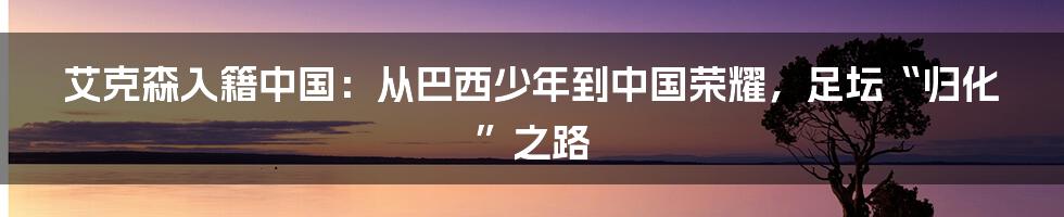 艾克森入籍中国:从巴西少年到中国荣耀,足坛“归化”之路