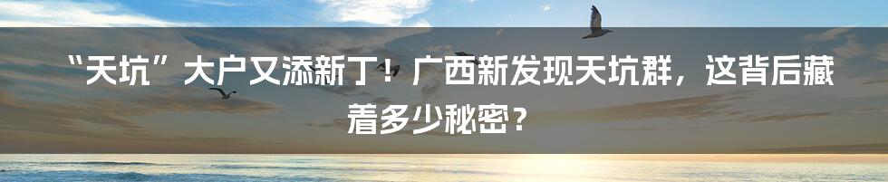 “天坑”大户又添新丁!广西新发现天坑群,这背后藏着多少秘密?