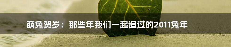 萌兔贺岁：那些年我们一起追过的2011兔年