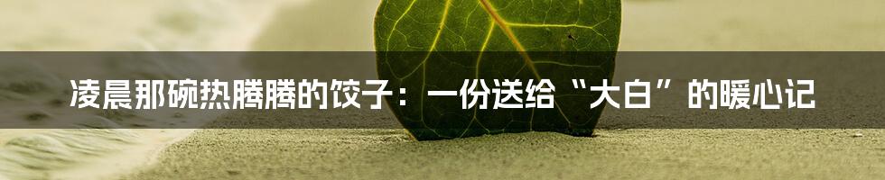 凌晨那碗热腾腾的饺子:一份送给“大白”的暖心记