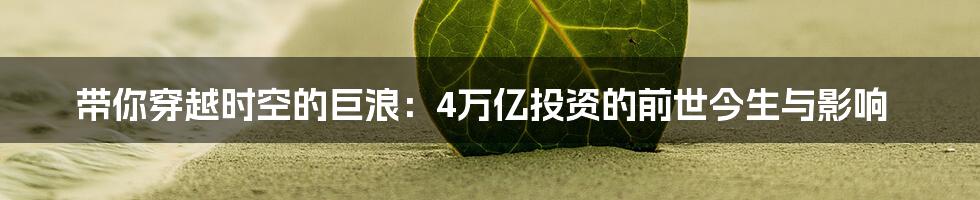 带你穿越时空的巨浪:4万亿投资的前世今生与影响
