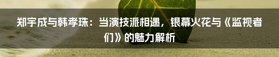 郑宇成与韩孝珠:当演技派相遇,银幕火花与《监视者们》的魅力解析