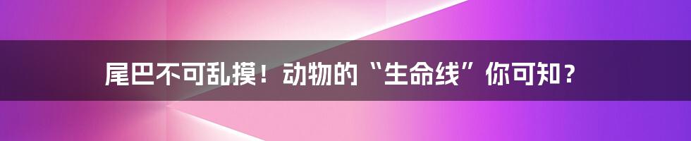 尾巴不可乱摸!动物的“生命线”你可知?