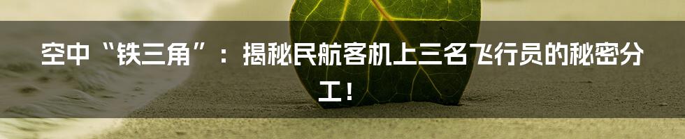 空中“铁三角”：揭秘民航客机上三名飞行员的秘密分工！