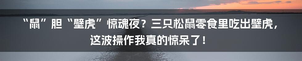 “鼠”胆“壁虎”惊魂夜?三只松鼠零食里吃出壁虎,这波操作我真的惊呆了!