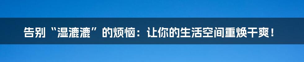 告别“湿漉漉”的烦恼:让你的生活空间重焕干爽!