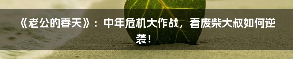 《老公的春天》:中年危机大作战,看废柴大叔如何逆袭!