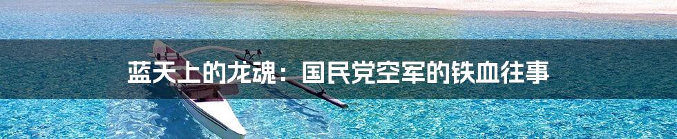 蓝天上的龙魂：国民党空军的铁血往事