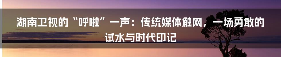 湖南卫视的“呼啦”一声:传统媒体触网,一场勇敢的试水与时代印记
