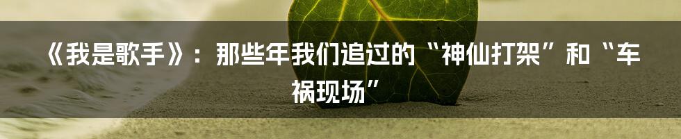 《我是歌手》：那些年我们追过的“神仙打架”和“车祸现场”