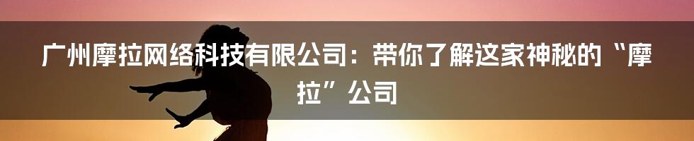 广州摩拉网络科技有限公司:带你了解这家神秘的“摩拉”公司