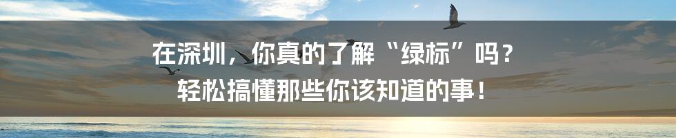 在深圳，你真的了解“绿标”吗？ 轻松搞懂那些你该知道的事！