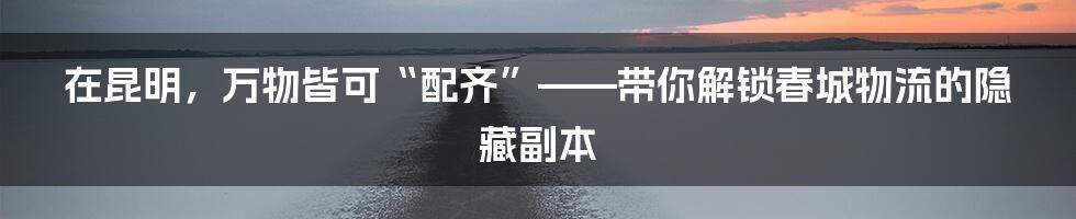 在昆明，万物皆可“配齐”——带你解锁春城物流的隐藏副本