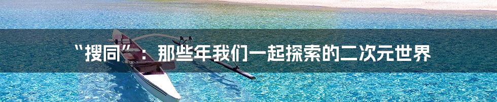 “搜同”:那些年我们一起探索的二次元世界
