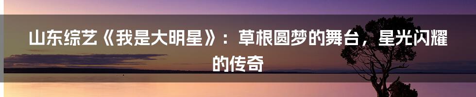 山东综艺《我是大明星》:草根圆梦的舞台,星光闪耀的传奇