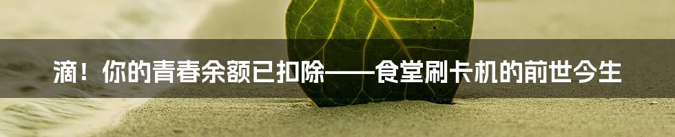 滴!你的青春余额已扣除——食堂刷卡机的前世今生