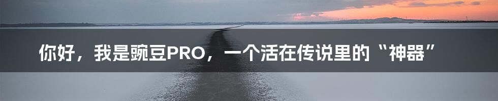 你好,我是豌豆PRO,一个活在传说里的“神器”