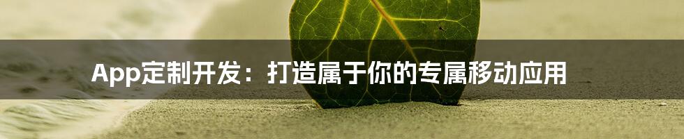App定制开发：打造属于你的专属移动应用