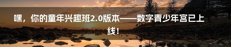 嘿,你的童年兴趣班2.0版本——数字青少年宫已上线!
