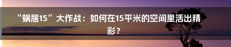 “蜗居15”大作战:如何在15平米的空间里活出精彩?
