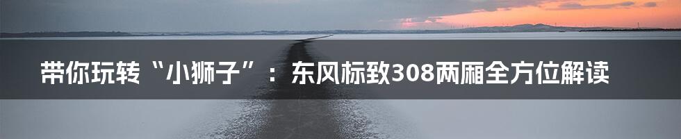 带你玩转“小狮子”:东风标致308两厢全方位解读
