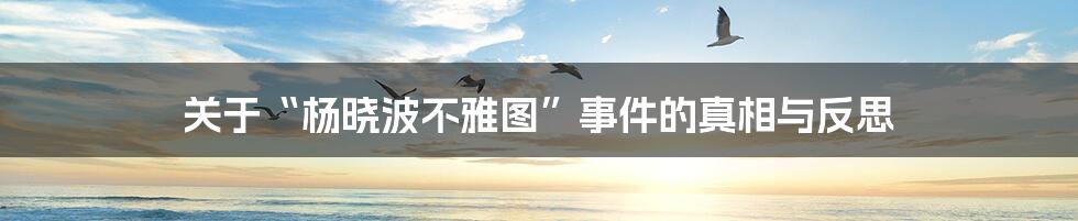 关于“杨晓波不雅图”事件的真相与反思