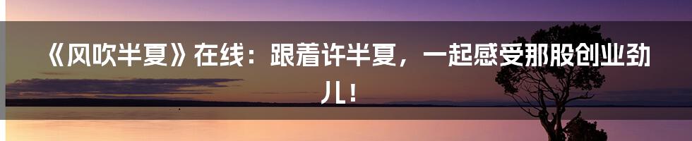《风吹半夏》在线:跟着许半夏,一起感受那股创业劲儿!